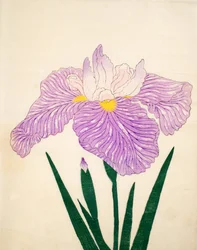 Tama-Usagi, No. 98, 1890